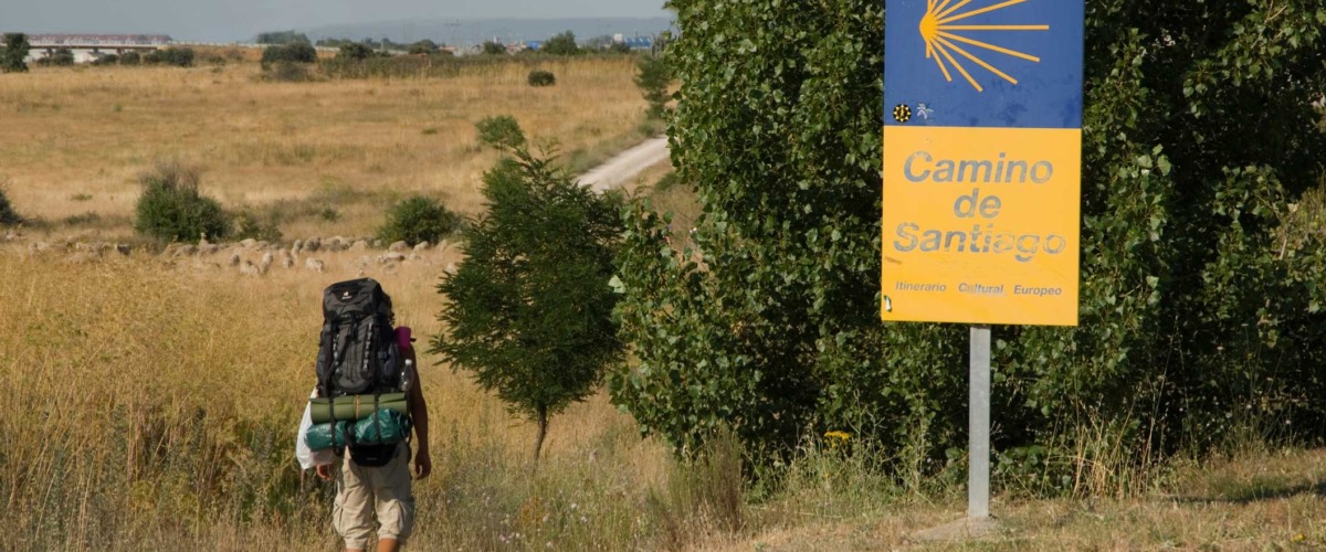 Camino-de-Santiago-hoofdbeeld