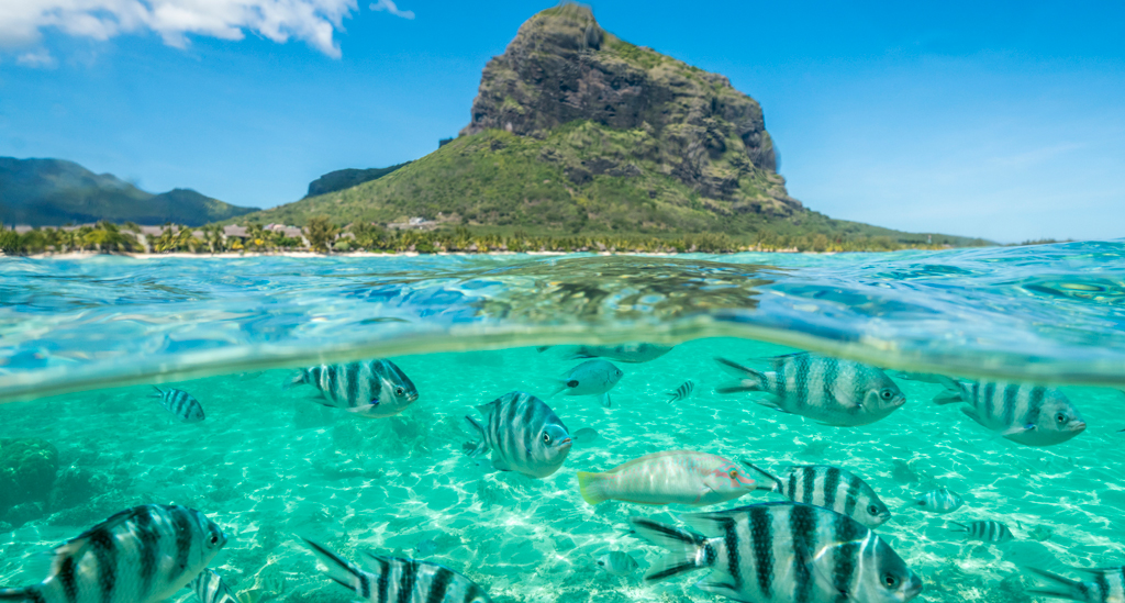 De onderwaterwereld van Mauritius