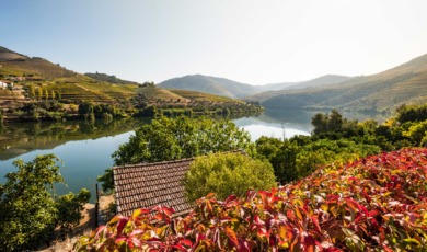 Douro Vallei