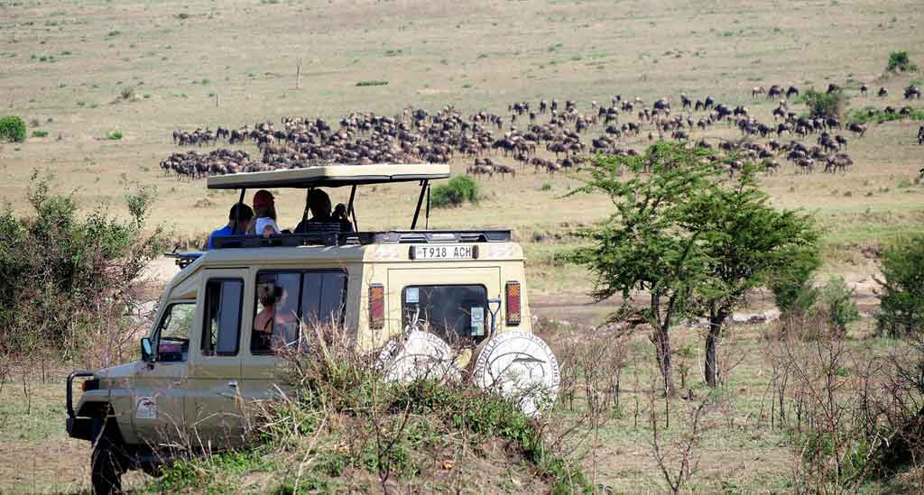 Game-drive-Kruger Park