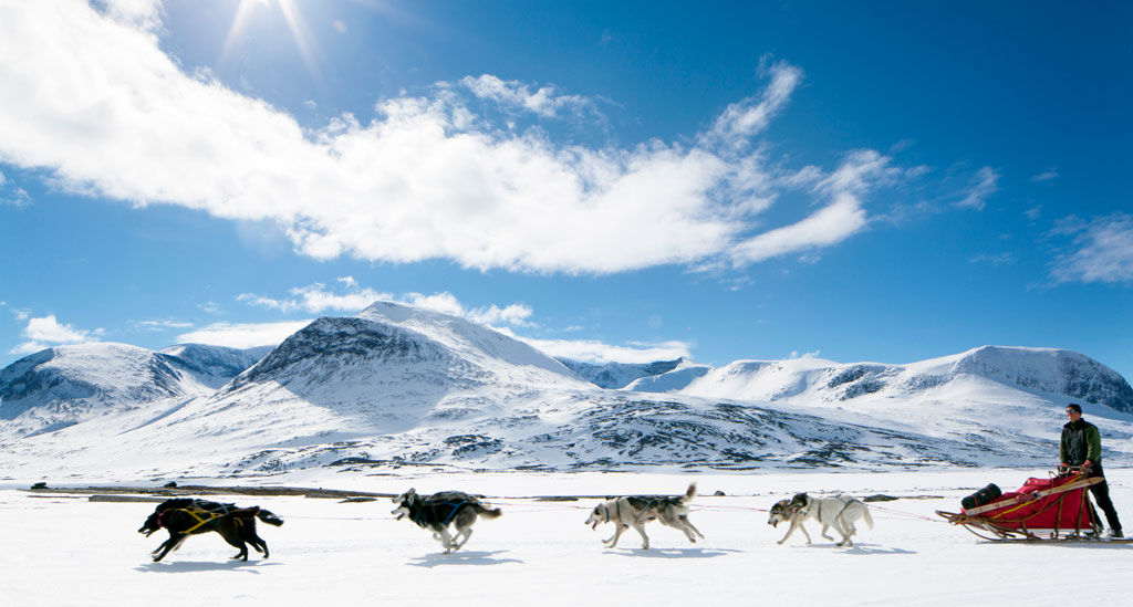 Huskysafari