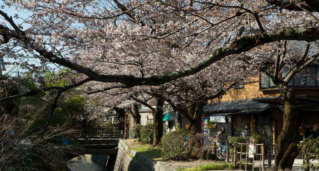 Kyoto-Filosofenpad