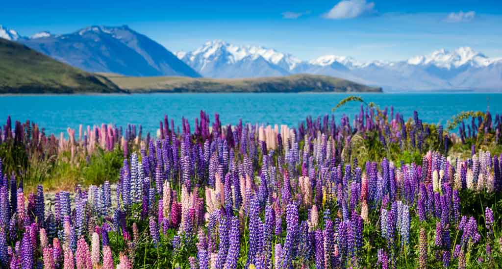 Lake-Tekapo