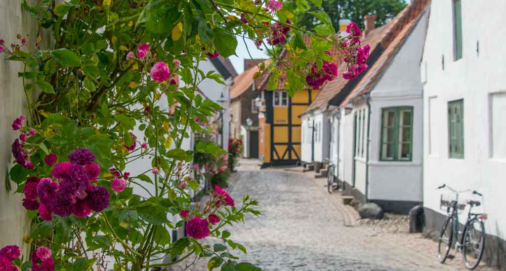 Ribe