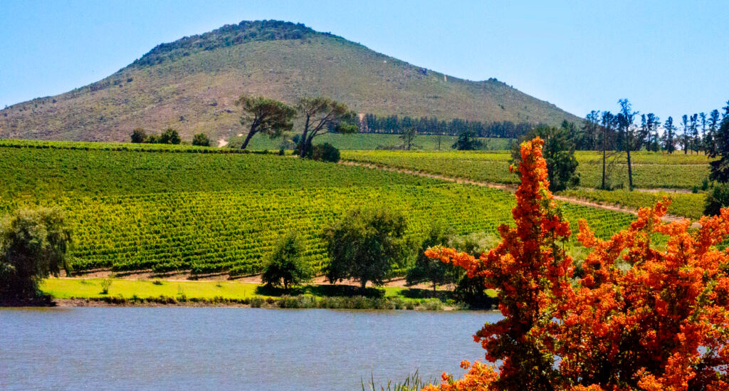 Stellenbosch