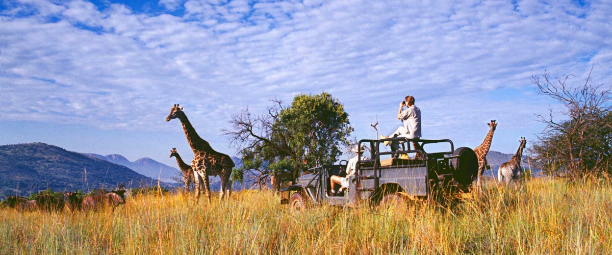Zuid-Afrika-3