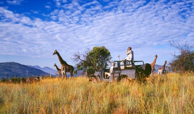 Zuid-Afrika-3