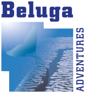 logo Beluga Adventures (002)