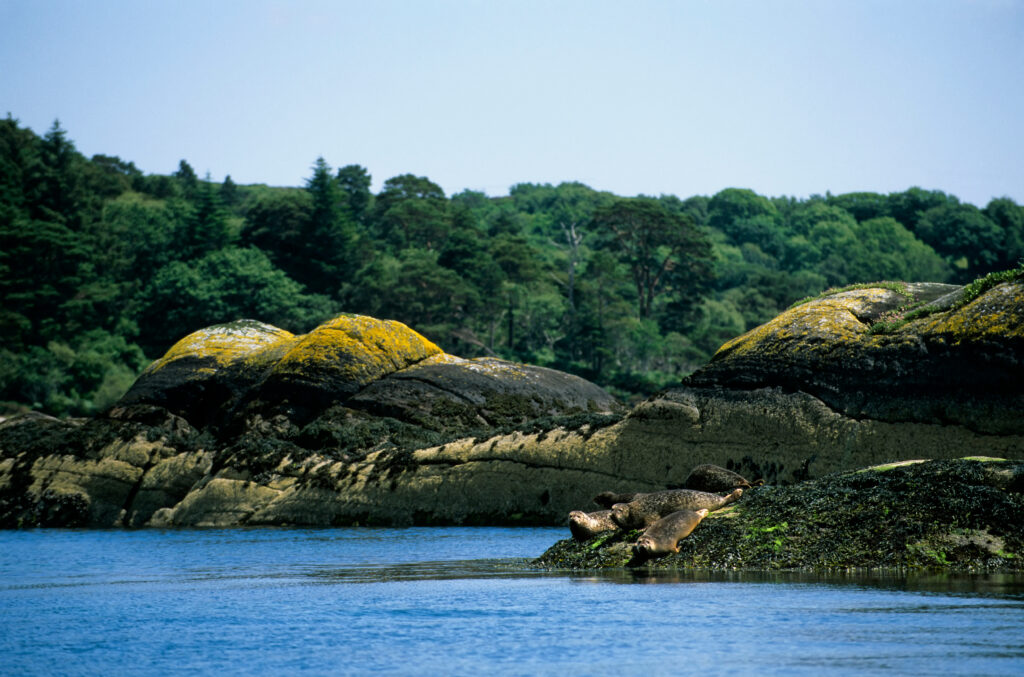 Bantry Bay Ierland