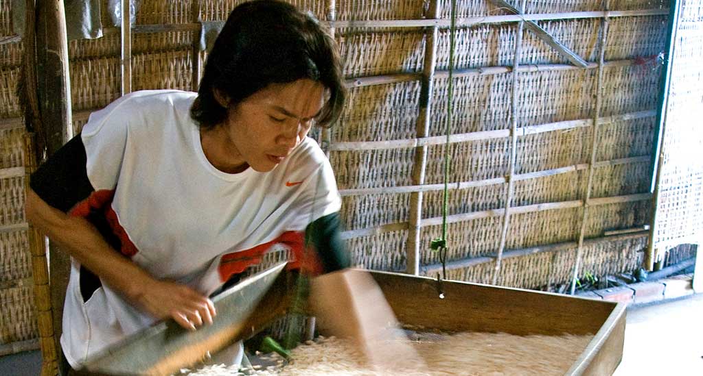 bezoek aan ambachtelijkefabriek van gepofte rijst, rijstwafels en rijstalcohol