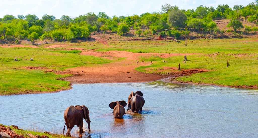 Op zoek naar de Big Five