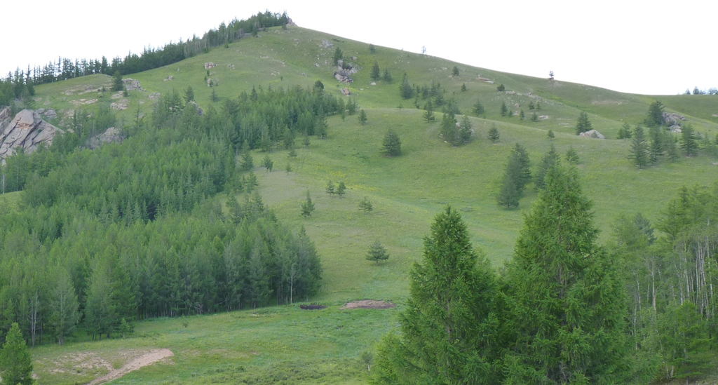 Terelj National Park