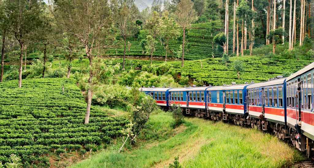 Geniet van het uitzicht tijdens de Treinrit van Nuwara-Eliya naar Ella